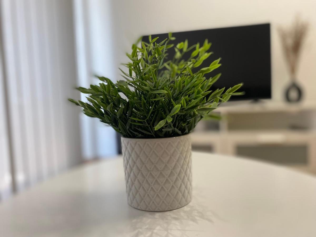 Apartamento Borgia - Gandía Buitenkant foto